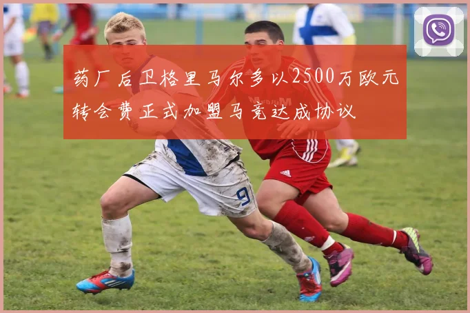 药厂后卫格里马尔多以2500万欧元转会费正式加盟马竞达成协议