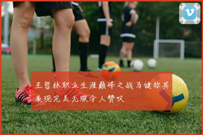 王哲林职业生涯巅峰之战马健称其表现完美无瑕令人赞叹