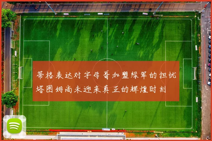 蒂格表达对字母哥加盟绿军的担忧塔图姆尚未迎来真正的辉煌时刻