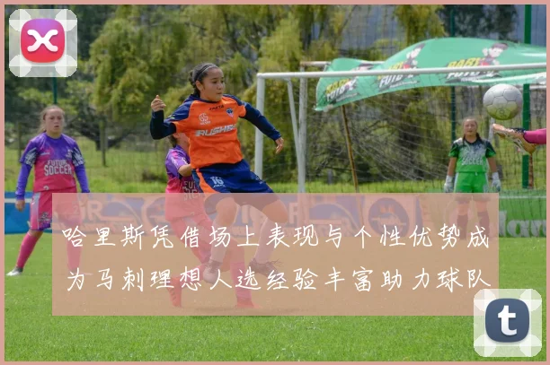 哈里斯凭借场上表现与个性优势成为马刺理想人选经验丰富助力球队发展